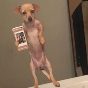 Meet your Posher, Vanessa